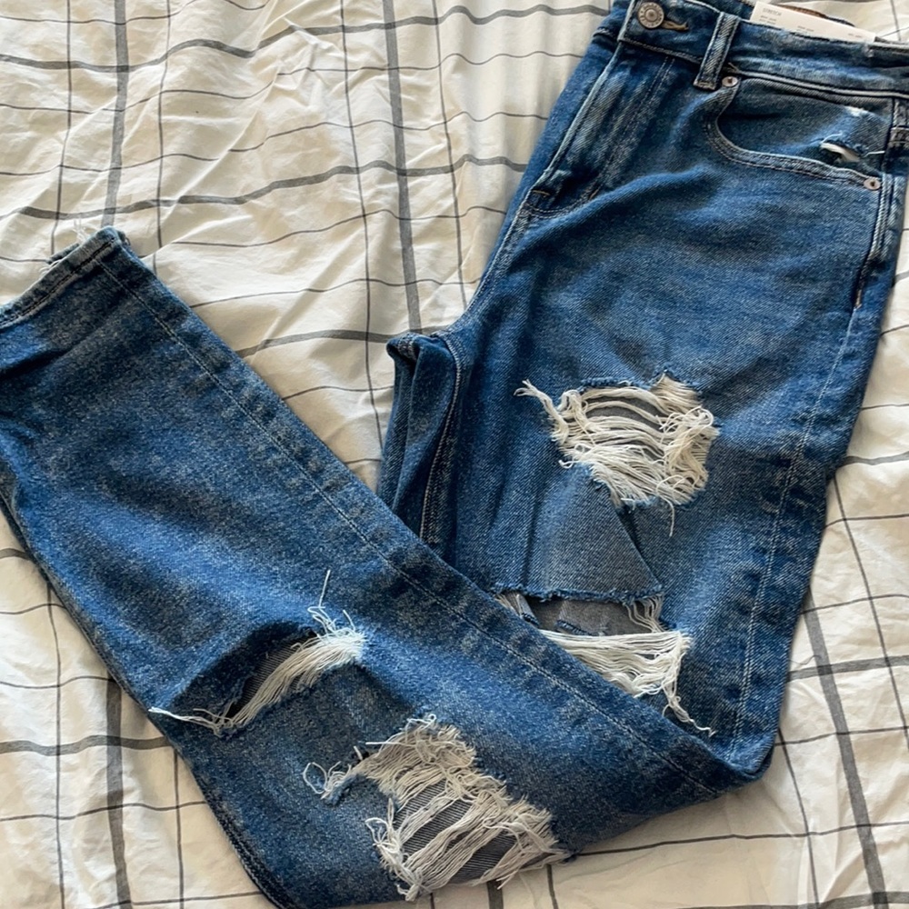 NEW WITH TAGS american eagle Mom jeans size 2